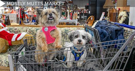 mostly mutts market